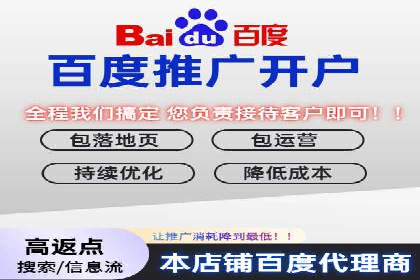 某电商平台SEM竞价广告的转化率提升案例